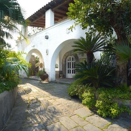 B&B Villa Regine Forio di Ischia Eksteriør billede