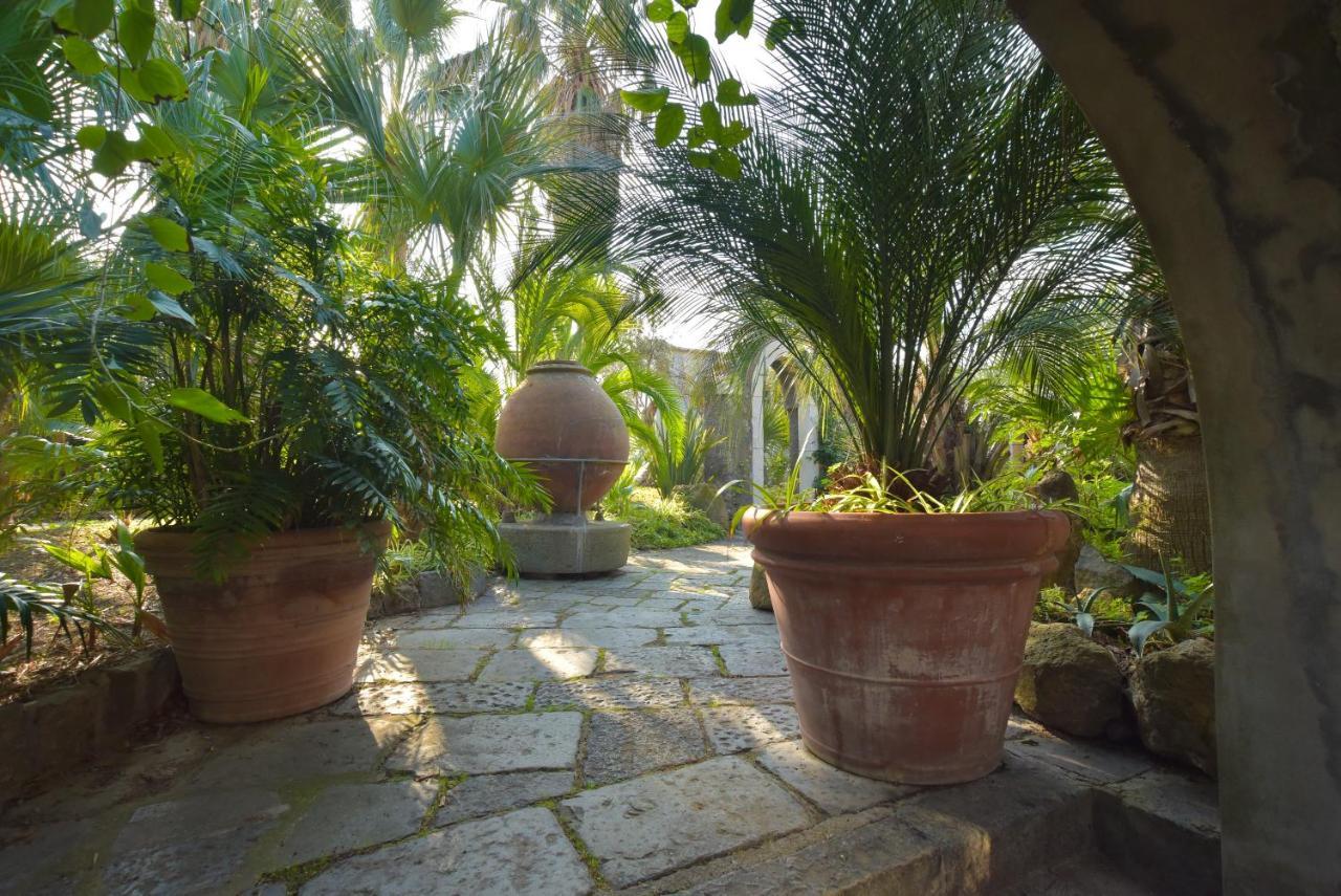 B&B Villa Regine Forio di Ischia Eksteriør billede