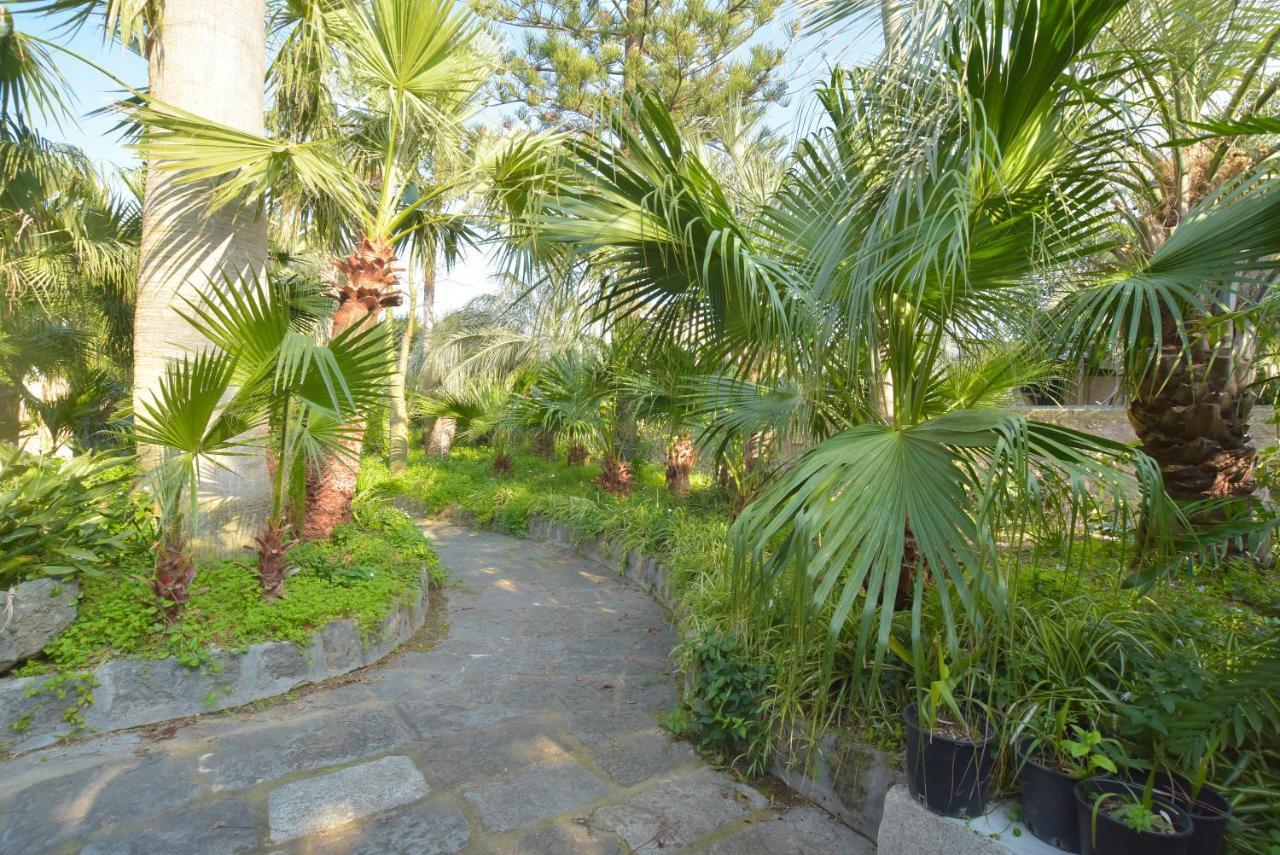 B&B Villa Regine Forio di Ischia Eksteriør billede